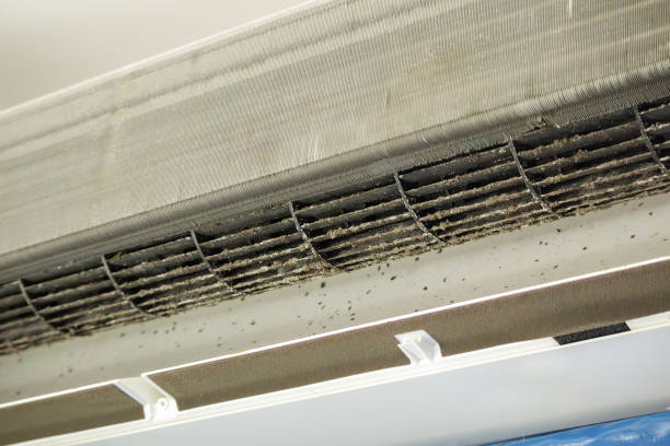 Best Ductwork Cleaning Services  in Louisa, VA