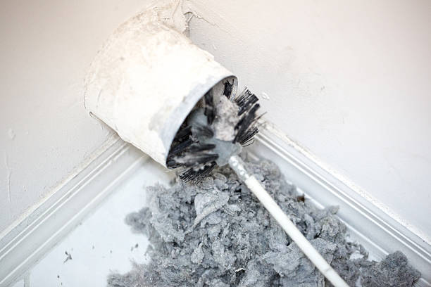 Best HVAC System Cleaning  in Louisa, VA
